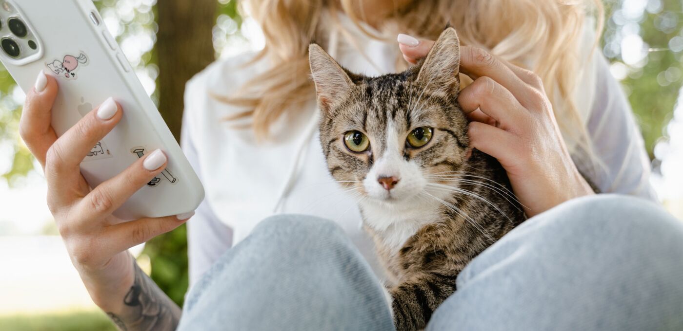 Mensch sitzt auf dem Rasen und hat ein Smartphone in der Hand und eine Katze auf dem Schoß“