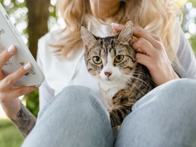 Mensch sitzt auf dem Rasen und hat ein Smartphone in der Hand und eine Katze auf dem Schoß“